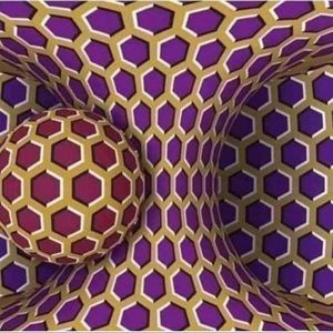 Meet your Posher, Terrance